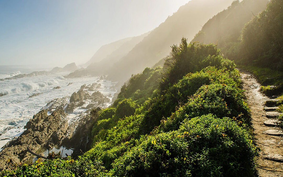 Secrets to Self-Esteem And How to Cultivate It
